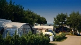 Kemping Alexa - zdjęcie 2