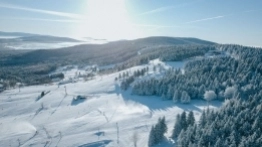 Zieleniec 2020 - zdjęcie 1