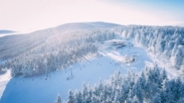 Zieleniec 2020 - zdjęcie 2