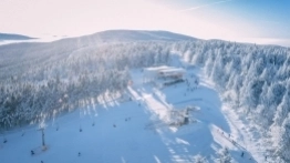 Zieleniec 2020 - zdjęcie 3