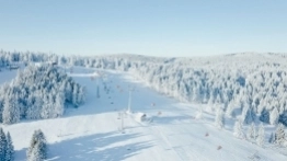 Zieleniec 2020 - zdjęcie 4