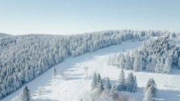 Zieleniec 2020 - zdjęcie 5