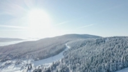 Zieleniec 2020 - zdjęcie 6