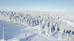 Zieleniec 2020 - zdjęcie 7