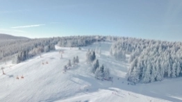 Zieleniec 2020 - zdjęcie 10