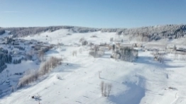 Zieleniec 2020 - zdjęcie 12