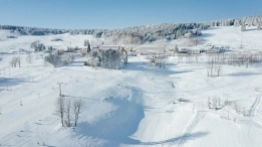 Zieleniec 2020 - zdjęcie 13