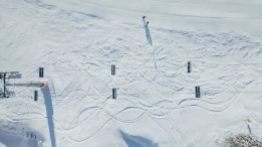 Zieleniec 2020 - zdjęcie 14