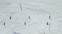 Zieleniec 2020 - zdjęcie 15