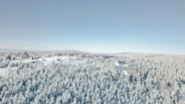 Zieleniec 2020 - zdjęcie 16