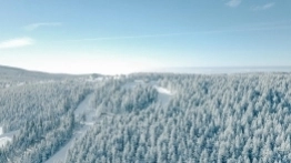 Zieleniec 2020 - zdjęcie 19