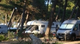 Camping Village Poljana - zdjęcie 16