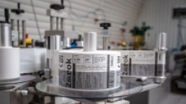 Camper Park GZUB - zdjęcie 5