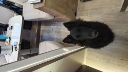 Mooveo TEI-71FBH - zdjęcie 11