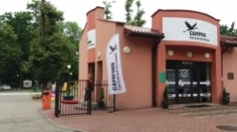 Kemping Pod Czarnym Bocianem - zdjęcie 1