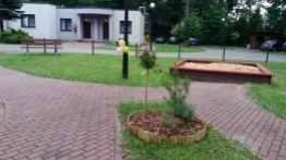 Kemping Pod Czarnym Bocianem - zdjęcie 27