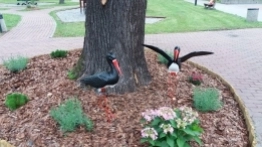 Kemping Pod Czarnym Bocianem - zdjęcie 28