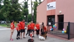 Kemping Pod Czarnym Bocianem - zdjęcie 29