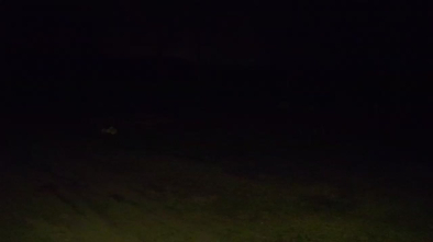 Jezioro Dargin, Camp Park Sonata