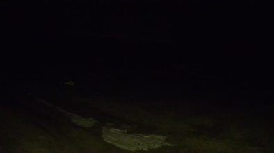 Jezioro Dargin, Camp Park Sonata