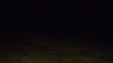 Jezioro Dargin, Camp Park Sonata