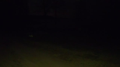 Jezioro Dargin, Camp Park Sonata