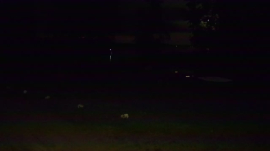 Jezioro Dargin, Camp Park Sonata