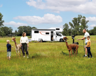 Fiat LMC Tourer Alkowa