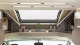 Roller Team - zdjęcie 15