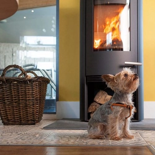 Mawgan Porth Holiday Park - zdjęcie 2