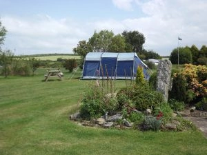 Mena Farm - zdjęcie 3