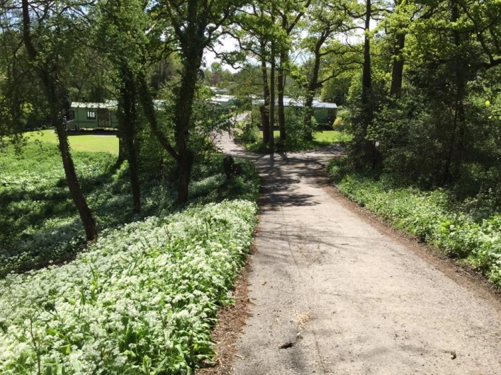 zobacz camping - zdjęcie 10