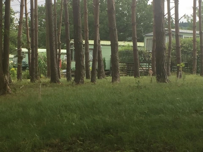 zobacz camping - zdjęcie 5