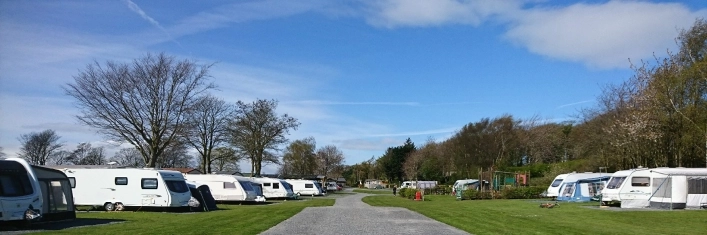 Moss Wood Caravan Park - zdjęcie 2