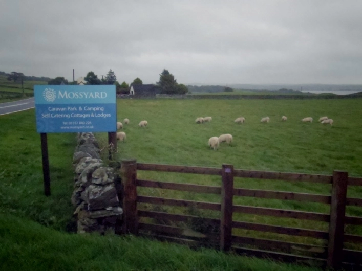 Mossyard Caravan Park - zdjęcie 2