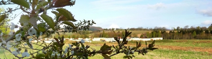 zobacz camping - zdjęcie 6