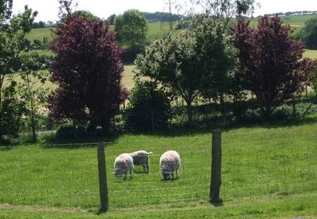 zobacz camping - zdjęcie 6