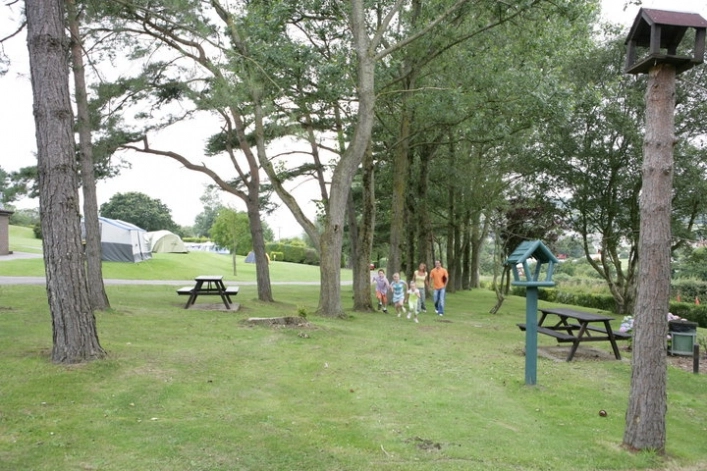 zobacz camping - zdjęcie 15