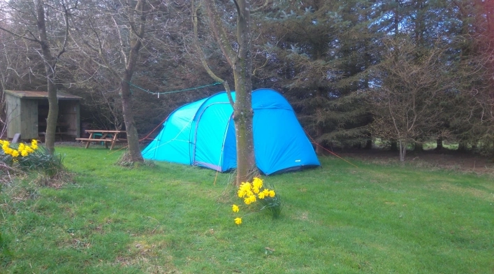 zobacz camping - zdjęcie 6