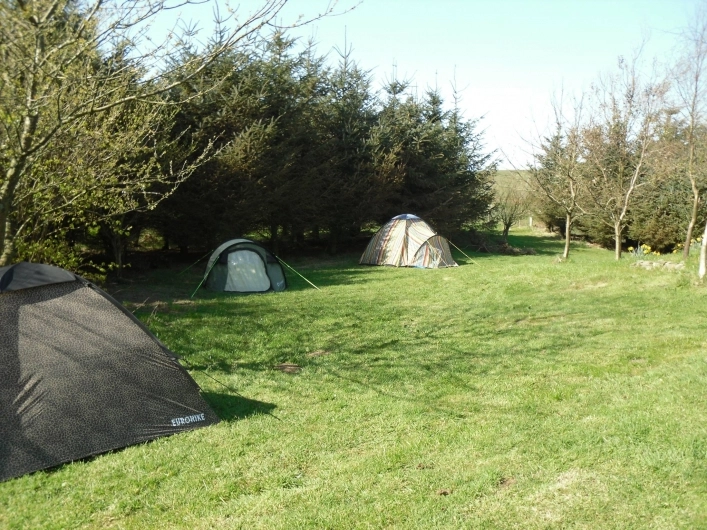 zobacz camping - zdjęcie 3