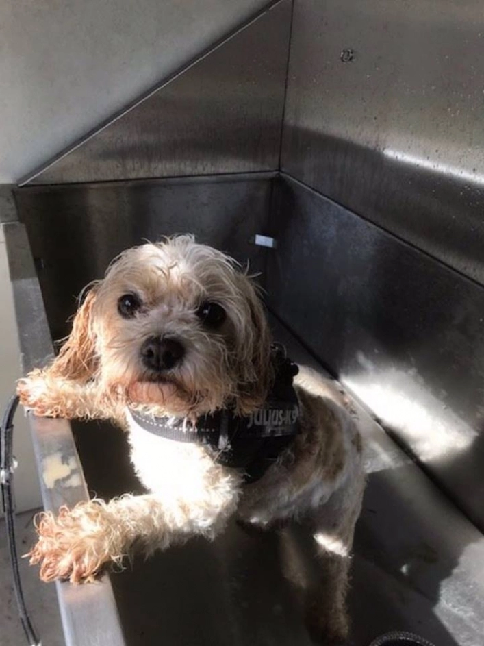 zobacz camping - zdjęcie 13