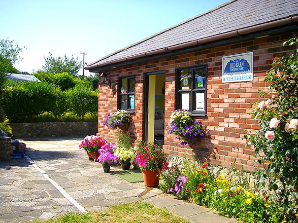 zobacz camping - zdjęcie 10