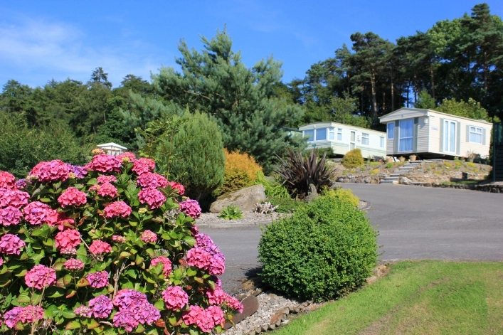 zobacz camping - zdjęcie 8