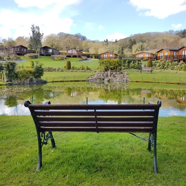 zobacz camping - zdjęcie 9