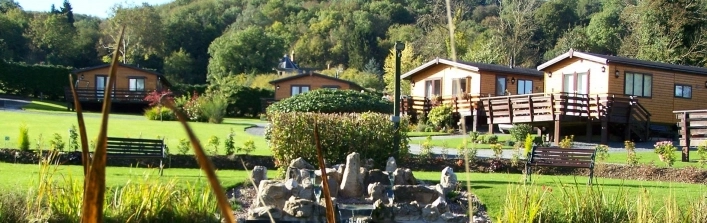 zobacz camping - zdjęcie 6