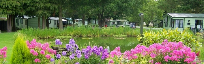 zobacz camping - zdjęcie 3