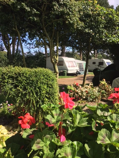 zobacz camping - zdjęcie 6