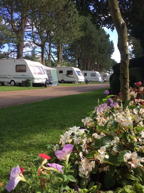 zobacz camping - zdjęcie 4