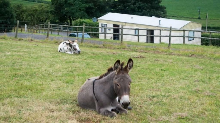 Parkers Farm Holiday Park - zdjęcie 2