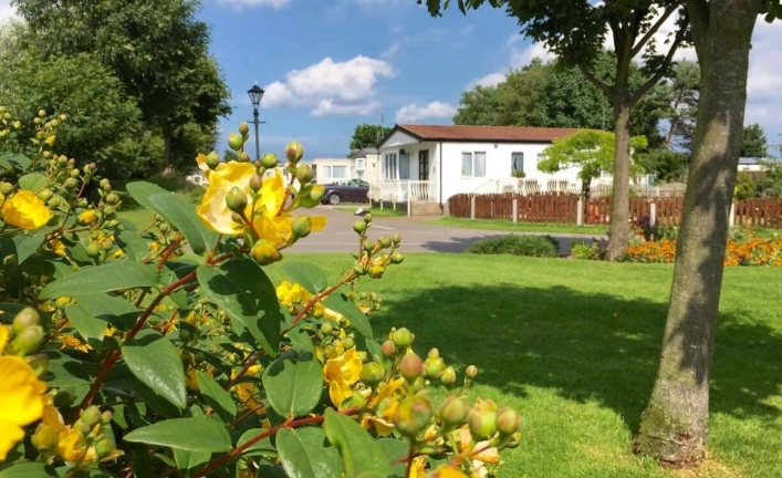 Patrington Haven Leisure Park Ltd - zdjęcie 3